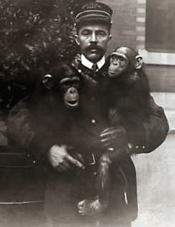 Reaching for the Out of Reach 41: A man holds two chimpanzees, Bronx Park, New York, circa 1887. [ more from this project (nypl permalink) ]