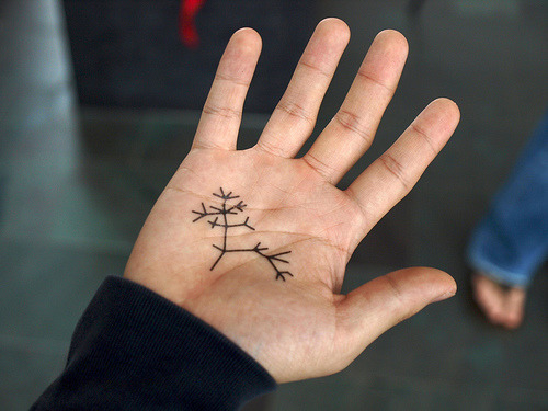 tree of life tattoos. charles darwin#39;s tree of life