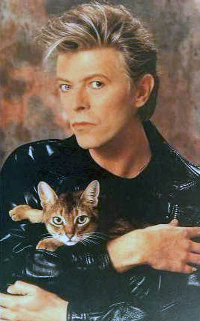 Your argument is invalid. annahatesbananas: David Bowie is team cat.