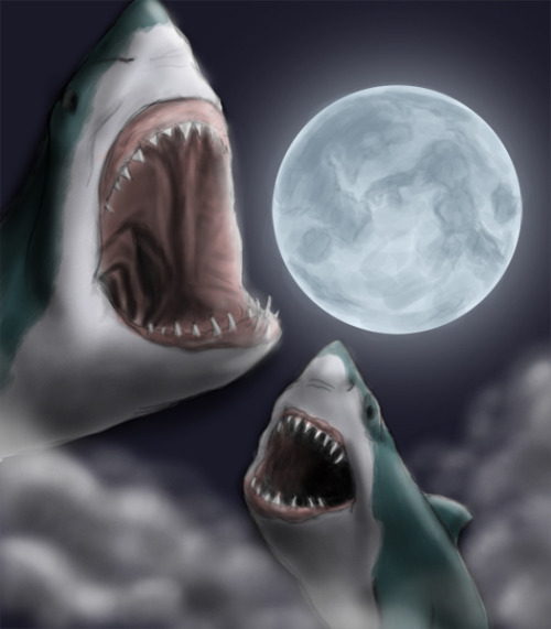 Howling At The Moon. Sharks…howling at the moon.