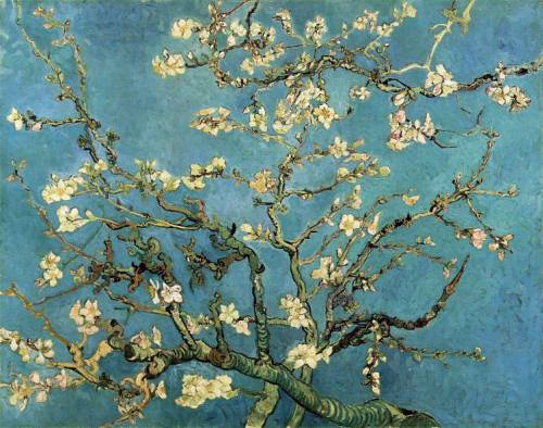 philomel:   sealmaiden:  ilymaus:  Vincent van Gogh, Branches with Almond Blossom