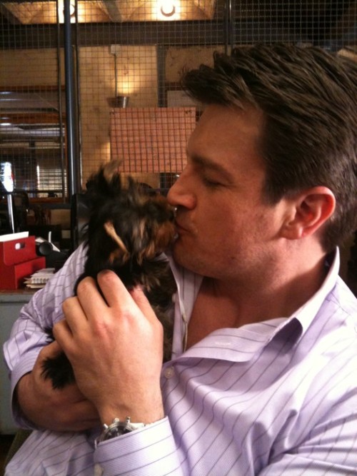 Nathan Fillion kisses a puppy OF squeals ad infinitum