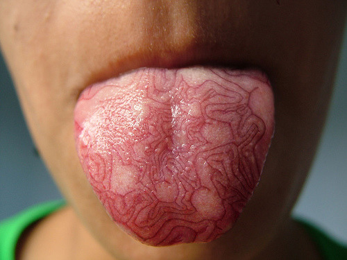 Tongue Tattoo ew Photo by Sebastian Niedlich viaszymon 
