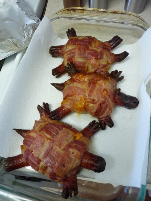 Bacon Cheese Turtleburgers Ground beef pattie topped with sharp cheddar cheese, wrapped in a bacon weave shell with hot dog head, legs and tail. (submitted by Mark Davis)