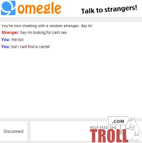 Two omegle trolls walk into a room looking for cam sex…