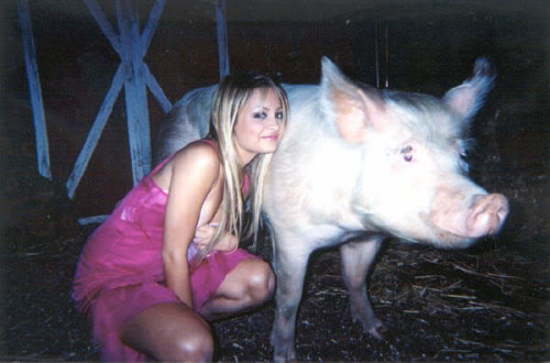 agroupieslament: uhohuh: (via bitchcraft) Blondie and The Pig&#8230; that would work for a band name, LOL!!!