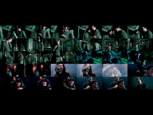 remus lupin and sirius black. Remus Lupin/Sirius Black