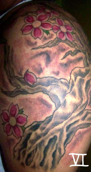 Back phoenix tattoos, foot