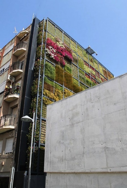 vertical garden by Jose Maria Chofre