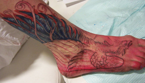 mariess Phoenix tattooed over a burn scar a really neat idea