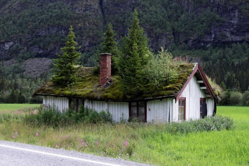 The Grass Roofs of Norway | Amusing Planet