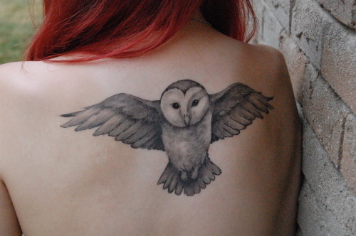 tags back barn owl barn owl tattoo girl hair me owl owl tattoo red red hair