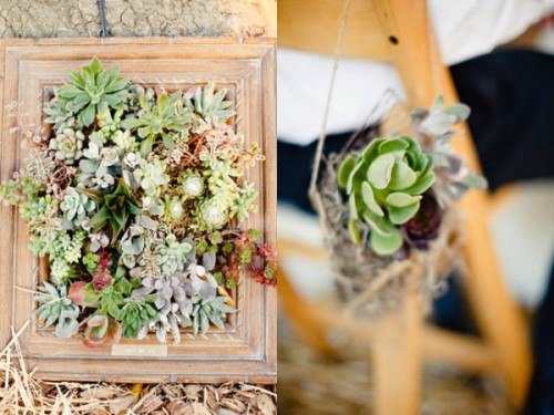wedspace:I don’t think I’ll ever get tired of succulents … they always take my breath away.Agree…
