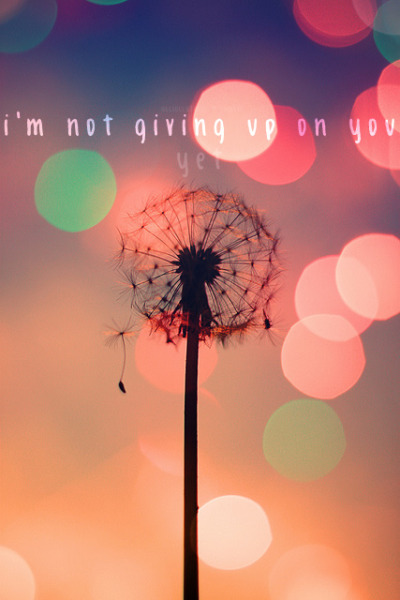 quotes on not giving up. #i#39;m not giving up on you