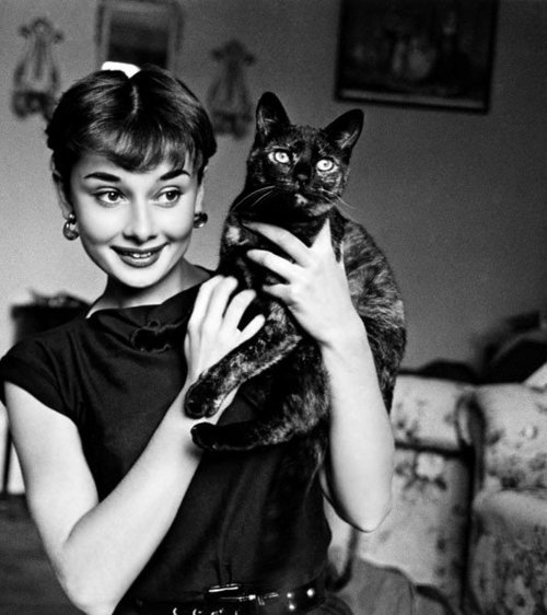 AUDREY HEPBURN HAS A CHIPPY CAT imalooser And another Audrey 