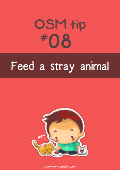 illy-muzliza:

If you see a stray animal, why not buy proper food (not  leftovers) from the store or nearest restaurant and feed it? Allah will  reward you for this noble action, insyallah. :)
