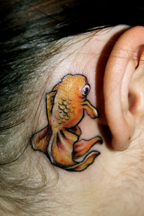 domino goldfish tattoo. My first tattoo, hope not