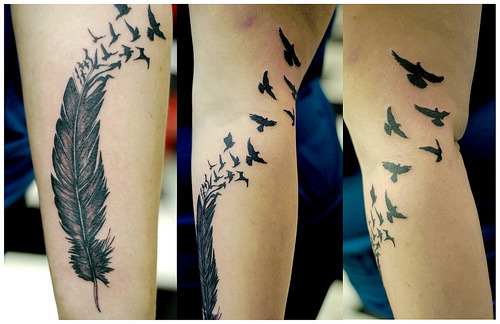 black bird tattoo. tagged as: tatto. ird. Black
