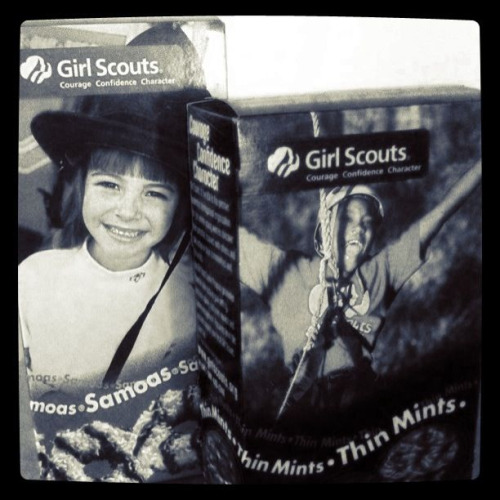 February 19 |
It’s that time of year…bring out the Girl Scout cookies! Peter surprised me this afternoon with a box of Samoas AND Thin Mints. Um, yum! Sharing isn’t easy…just sayin. I didn’t grow up with these cookies. I don’t even think I had a GS cookie until after I married Peter (I could be wrong). But it didnt take me long to become a fan of them. My favorite are the Samoa cookies. What’s your favorite?