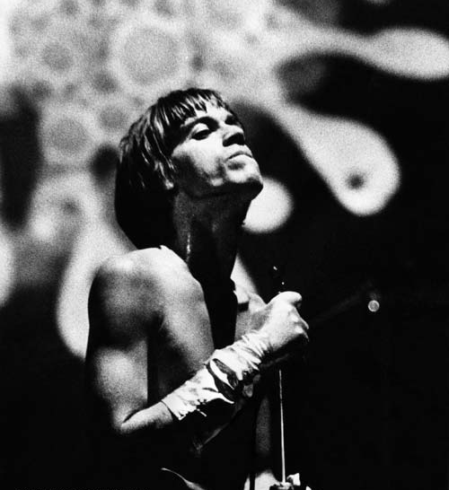 ONLY THE YOUNG DIE YOUNG - Iggy Pop, 1968