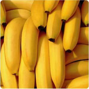 allofmy-excess:

fruitteahealth:

fitnessfactor:

revealme:
BEHOLD, THE ALMIGHTY BANANA.
A Banana a Day…Instead of eating an apple each day for optimum health, the adage should state that a banana each day keeps the doctor away. The banana health benefits far outweigh those of the apple because it has many more vitamins and nutrients than their round counterparts.
Bananas have two times as many carbohydrates as an apple, five times as much Vitamin A and iron and three times as much phosphorus. In addition, bananas are also rich in potassium and natural sugars. All of these factors combined make the banana a “super food” that is an integral part of a healthy daily regimen.
Bananas Provide EnergyBecause of the abundance of vitamins and minerals, bananas are a great source of natural energy. Eating only two bananas will give you enough energy to exercise or workout for an hour and a half. Bananas are also ideal for eating during that midday lull when you feel tired and sluggish.
Instead of drinking caffeine or having a sugary snack, bananas provide a level of energy that lasts longer without the dramatic crash caused by caffeine.
Potassium is Vital for PerformanceBecause they are rich in potassium, bananas help the body’s circulatory system deliver oxygen to the brain. This also helps maintain a regular heartbeat and a proper balance of water in the body. Potassium is also helpful for reducing strokes and regulating blood pressure because of the way it promotes circulatory health.
Bananas Promote Bowel HealthOne of the banana health benefits is that they can help stop constipation. Bananas have a certain type of fiber that helps to restore and maintain regular bowel functions. Instead of using laxatives that might have chemicals or other synthetic substances, bananas are a natural source for lessening the effects of constipation without causing other bowel problems such as diarrhea.
Bananas Can Lift Your SpiritsBananas have a chemical called tryptophan – the same chemical that turkey contains. This mood regulating substance contains a level of protein that helps the mind relax so you feel happier. According to Bananasaver.com, people suffering from depression often report feeling better after eating a banana.
Eat a Banana during Your Monthly VisitorInstead of taking pills designed to reduce your menstrual pains, bananas can be a great help. As stated on Bananasaver.com, bananas have a level of vitamin B6 that helps to regulate blood glucose level and help your overall mood.
Increase Your Brain Power with Bananas In addition to banana health benefits, they can also help you with your mind. Bananasaver.com discusses a study with 200 students who were asked to eat one banana three times a day - breakfast, recess and lunchtime – along with their normal meals. What they found was that the potassium in the bananas boosted their brainpower and made them more alert during their classes while they followed the regimen.
Eat Bananas after a Night of PartyingThe natural ingredients in bananas and their ability to replenish the body’s vitamins make them an ideal way to reduce the effects of a hangover. Put a couple bananas in the blender with some plain yogurt and add some honey to sweeten the taste. The fruit tends to calm the stomach and the honey helps to restore the blood sugar levels to normal.
Similarly, bananas can help people who are trying to quit smoking. The B vitamins and other minerals that they contain reduce the physical and psychological effects of nicotine withdrawal.
Bananas are Great for Pregnant WomenBecause of their calming properties, pregnant women often eat bananas to combat their morning sickness. In addition, they also help to replenish the body and restore a healthy blood glucose level. In addition, they also help regulate a pregnant woman’s temperature, although this is mostly used in other cultures that rely more heavily on natural cures.
Rub the Peel on Mosquito Bites Before you throw those peels away, rubbing the inside of it along a mosquito bite will help reduce the itching and swelling that is normally associated with these types of bites. You might even find that it works better than the creams or medications you find at the drugstore.
Bananas Help Soothe UlcersAs a way to prevent and treat ulcers, bananas help to reduce the acidity that some foods can leave in the stomach. They help reduce the irritation of the digestive system by leaving a protective coating around the inner walls, making it a natural way to promote intestinal health as well.
Since they help to neutralize acidity, they are also a great way to get rid of heartburn. They act as a natural antacid and they quickly soothe the burn.
Bananas are Rich in IronFor people suffering from a deficiency in iron, bananas help to give your body the iron that it needs. As a result, they help promote hemoglobin production so your blood can clot faster in case of a cut or serious injury.
Banana Peels are Good FertilizerBananas can also benefit your garden. Instead of throwing the peels away, banana peels are ideal fertilizer for gardens and soils. Rose bushes benefit a great deal from the peels. If you have a certain plant that you want to blossom, simply bury a few peels next to it by the roots. In a few weeks, the plant will be huge.
Peels Can Be Used to Treat Warts The outside of the banana peel also has healing and beneficial properties for the human body. If you have a wart on your foot, wrapping a banana peel around your foot so that the exterior of the peel rubs against the wart will help it go away in a matter of time. To keep the peel in place, you can wrap tape around it for better results.
With all of the banana health benefits, it is easy to see why they are such a popular fruit. In many ways, their benefits are far greater than that of other fruits. They not only have more vitamins and minerals than some other choices, they also taste great and are easy to eat.
However, having a diet that consists of only bananas as your fruit each day is not healthy and it can even be harmful to your health. Try to include several of your favorite fruits throughout the week because each of them has different advantages for your body. If you do not normally include bananas or any other fruit in your daily routine, find some ways to include fruit in your diet in order to improve your health and overall well-being.
They’re even better tasting once they get those sugar spots. I had one for breakfast. It was perfect.

This is so fantastic. I love bananas! (Eating one right now lol)

 awesome! i eat a banana almost every single morning, and i kept thinking i should be eating apples instead. i guess not!
