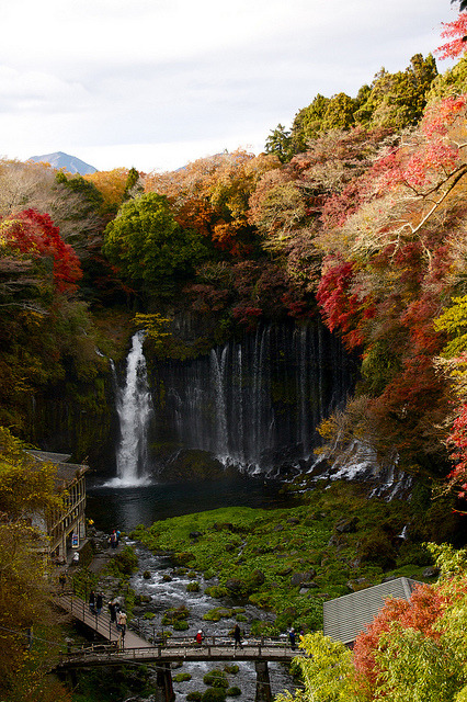  Autumn, Shiraito Falls, Fujinomiya, Japan
photo via discolor