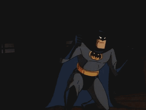 Bruce Wayne BTAS Batman: