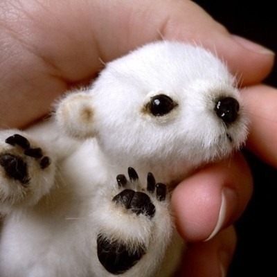 opentone:

 
The World’s Tiniest Polar Bear 
Via a kiss
