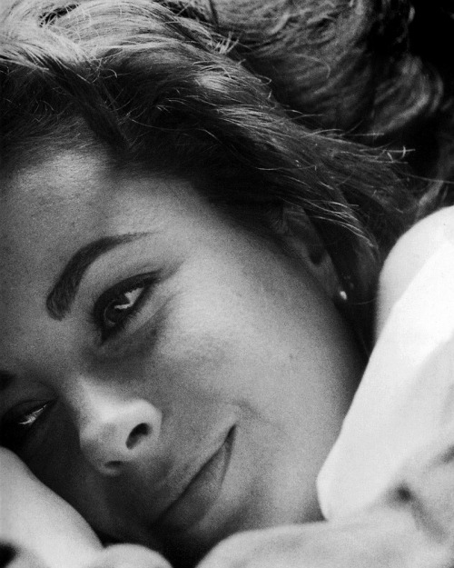 fuckyesoldhollywood:<br /><br />What an amazing photo.<br />Sleep peacefully, darling.<br /><br />RIP, Elizabeth Taylor :(
