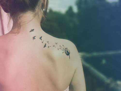 Oh yeah bird tattoos