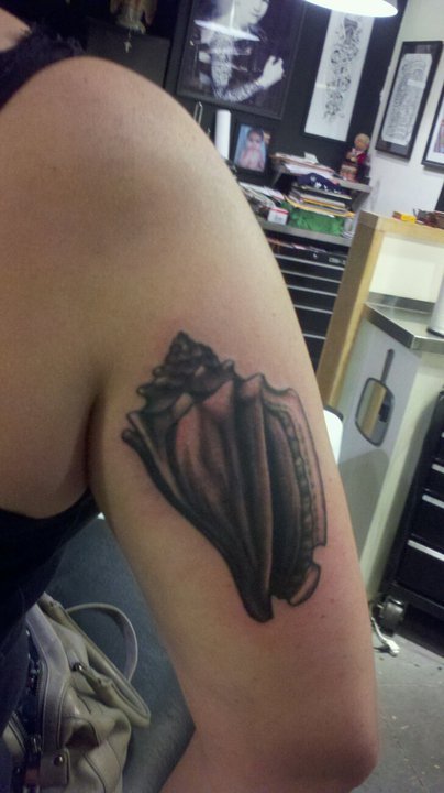 shell tattoo. Brand new conch shell tattoo.