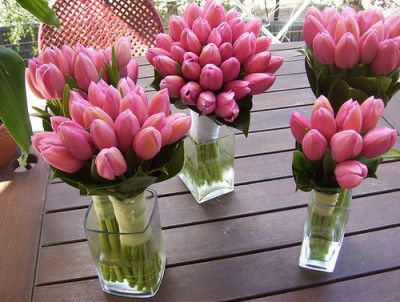  Wedding Bouquet tulips centerpiece bridal flowers pink 