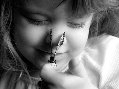 “Matamos todas as lagartas, e depois reclamamos que não há mais borboletas.” (Autor Anônimo)