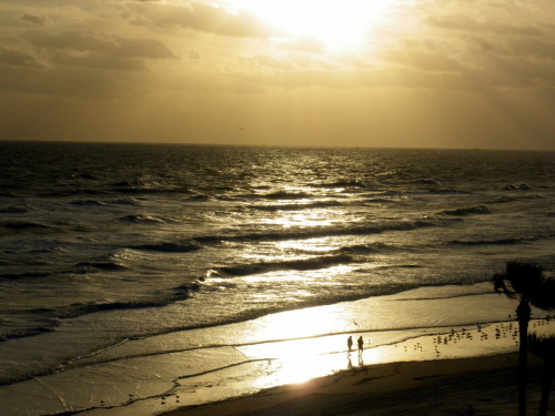 daytona beach florida sunset. DAYTONA BEACH FLORIDA SUNSET