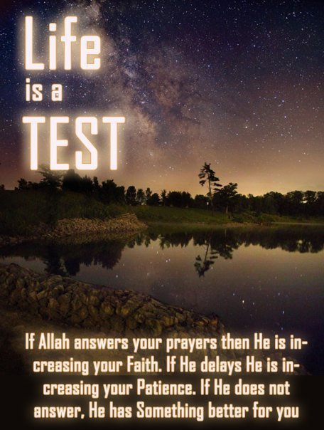 Life is a test.
