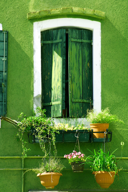 littlemori:

coloredmondays:

green house

very green indeed
