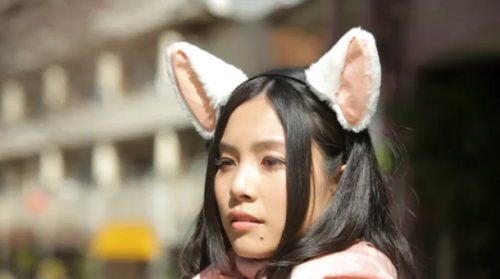 (via Japanese gadget of the day – Necomimi Neurowear, cat ears you can move with your brain waves | Ufunk.net)