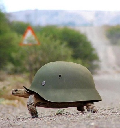 (via Piccsy :: War Turtle)