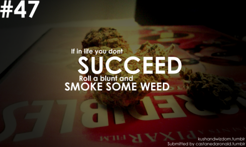 alot of weed. and smoke alot of weed.