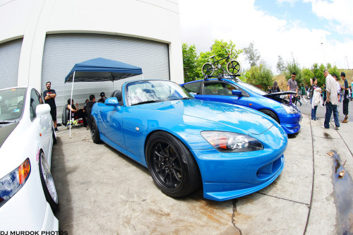Tagged model hellaflush s2000 AME Fin camber 