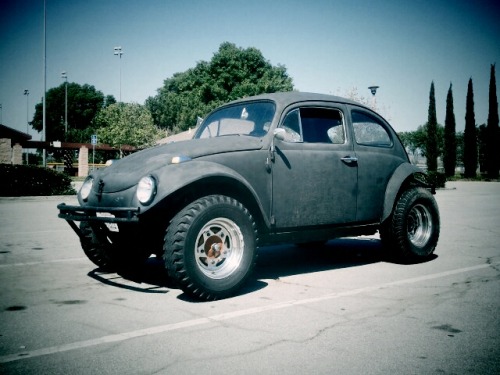 Volkswagen Beetle I guess Baja Bugs are unslammed stomachpancake 1964 