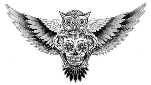 lickmypeepee Mexican Skull and Owl tattoo