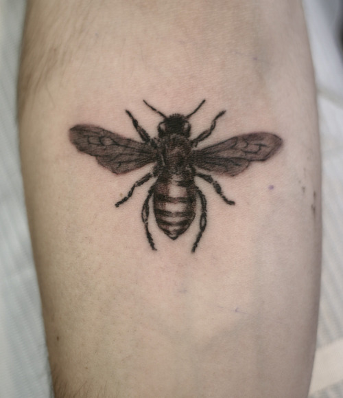Small bee done on my inner forearm by Andy Johnson Cap City Tattoos in 