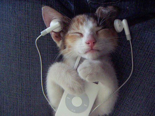 Eu ♥ ouvir música!
Diga o que você ama também!