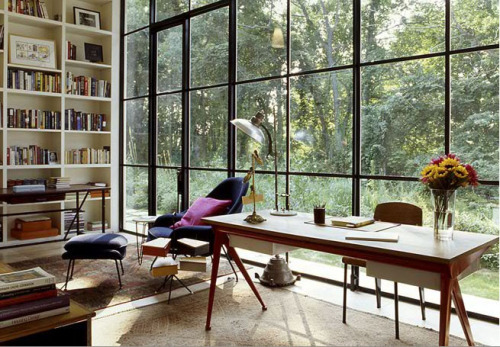legeniedumal:  sunroom with big bookshelves yes 
