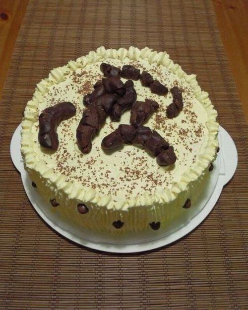 Você comeria esse bolo? isso é chocolate, claro! (Acho)