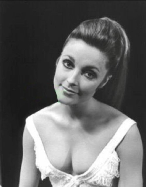 Pregnant Sharon Posted 9 months ago 1 note Tagged SHARON TATE 
