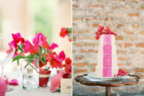 Tags photography cakes baking pink hot pink weddings flowers decor events