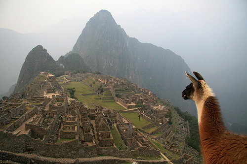 theoriginaljoefisher:

Overlooking machu picchu (by kees straver (i´m on Flickr blog and it crazy))
