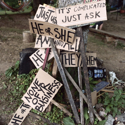 A group of Pronoun markers made out of cardboard at Idyll Dandy Acres, a queer community in Tennessee.